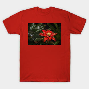 Garden Rain T-Shirt